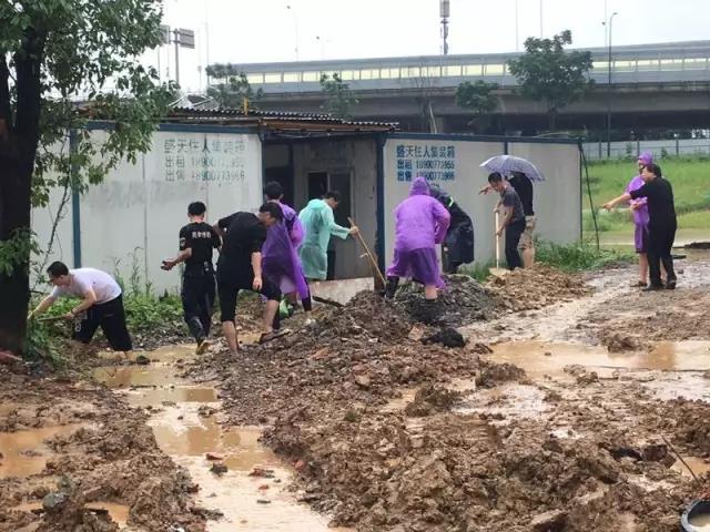 微信图片_20170702100148 艺术家放下画笔，扛起沙袋，李自健美术馆抗洪抢险工作全面展开！