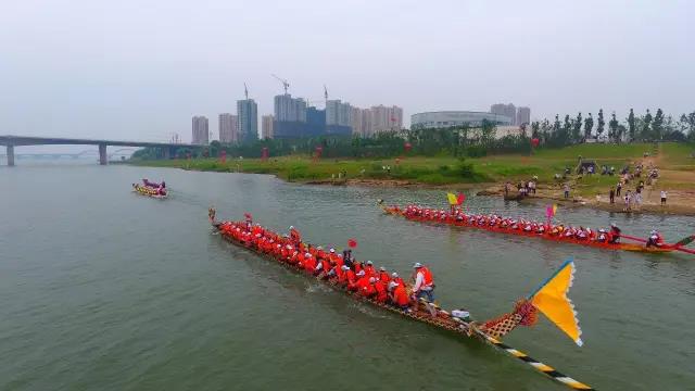 微信图片_20170531153956 李自健美术馆外，百舸争流 ，千帆竞技，共庆端午佳节日！